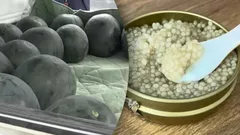 The Most Expensive Food in the World: What Millionaires Are Really Paying For