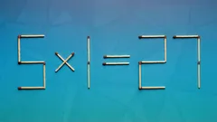 You Only Need to Move 2 Matches to Get the Correct Answer: A Puzzle for Geniuses