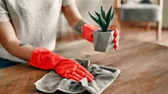 Here’s Why Japanese Homes Never Seem Dusty — This Cleaning Method Is Surprisingly Simple