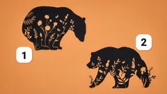 Psychological Test: Choose a Picture and Discover Your Complete Personality Analysis